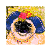 Japanese Chin Animals