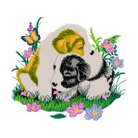 Japanese Chin Animals
