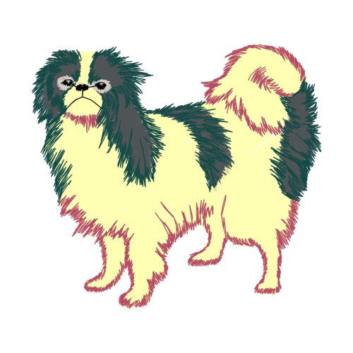 Japanese Chin Animals Japanese Chin Animals