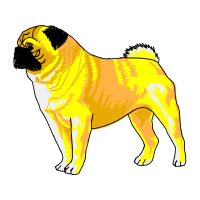 Japanese Chin Animals