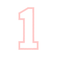 Kentucky Wildcats Men S Basketball Animals