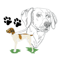 Kerry Beagle Animals Kerry Beagle Animals
