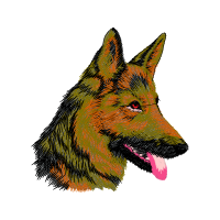 King Shepherd Animals