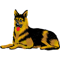 King Shepherd Animals