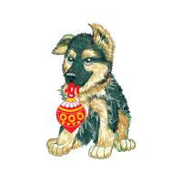 King Shepherd Animals