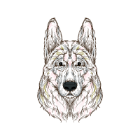 King Shepherd Animals