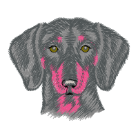 Labrador Retriever Animals