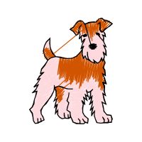 Lakeland Terrier Animals