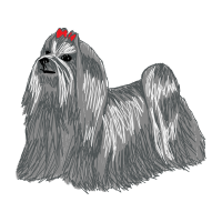 Lhasa Apso Animals Lhasa Apso Animals