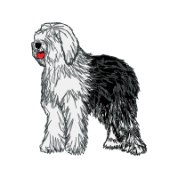 Lhasa Apso Animals Lhasa Apso Animals