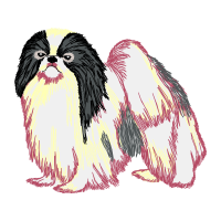 Lhasa Apso Animals Lhasa Apso Animals