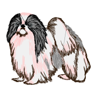 Lhasa Apso Animals Lhasa Apso Animals