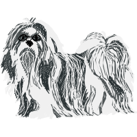 Lhasa Apso Animals Lhasa Apso Animals