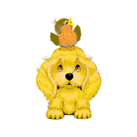 Lhasa Apso Animals Lhasa Apso Animals