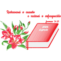 Lily Stargazer Animals