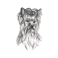 Line Art Animals Line Art Animals