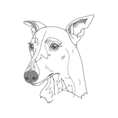 Line Art Animals Line Art Animals