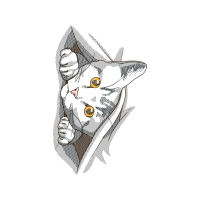 Line Art Animals Line Art Animals