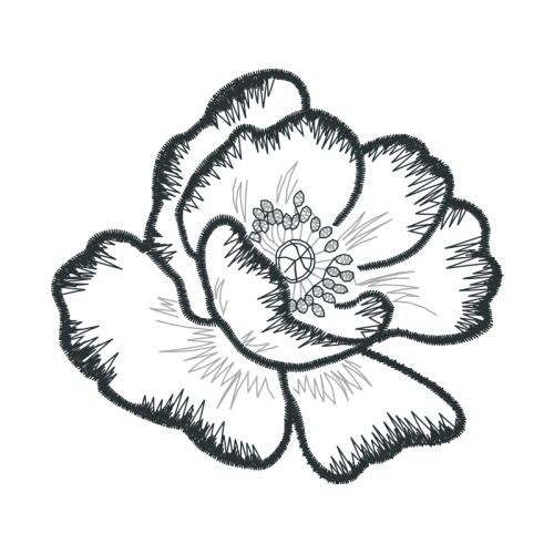 Line Art Animals Line Art Animals