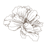 Line Art Animals Line Art Animals