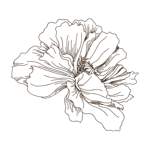 Line Art Animals Line Art Animals