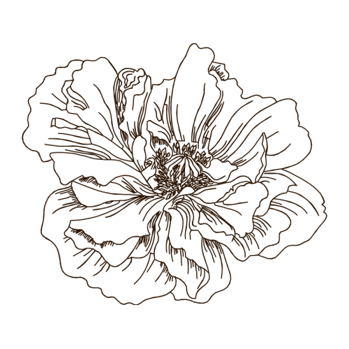 Line Art Animals Line Art Animals