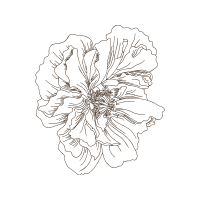 Line Art Animals Line Art Animals