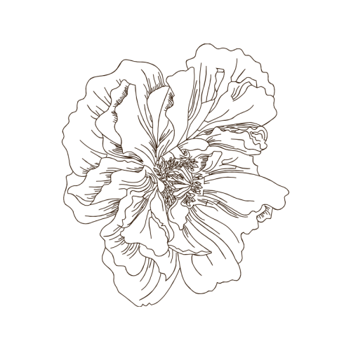 Line Art Animals Line Art Animals