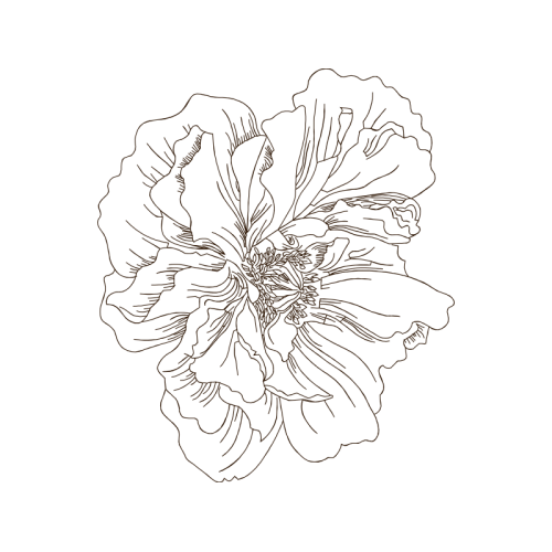 Line Art Animals Line Art Animals