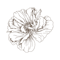 Line Art Animals Line Art Animals