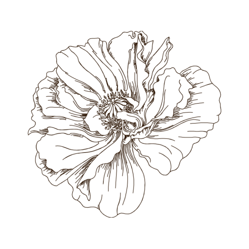 Line Art Animals Line Art Animals