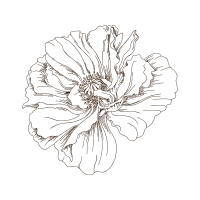 Line Art Animals Line Art Animals