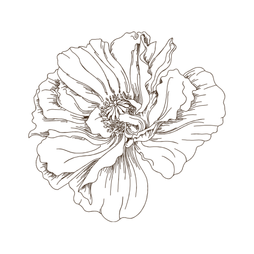 Line Art Animals Line Art Animals