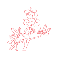 Line Art Animals Line Art Animals