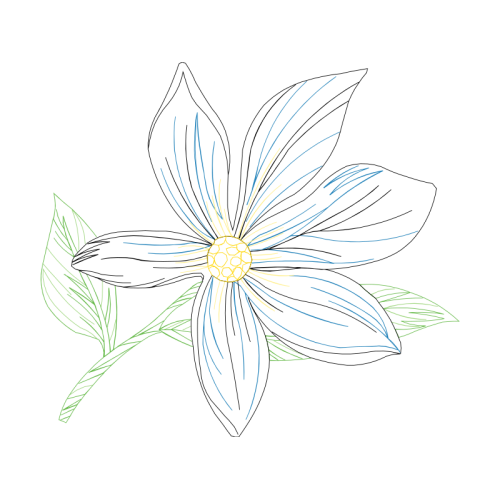 Line Art Animals Line Art Animals