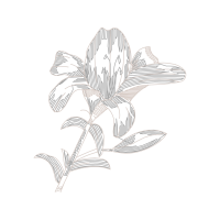 Line Art Animals Line Art Animals