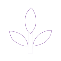 Line Art Animals Line Art Animals