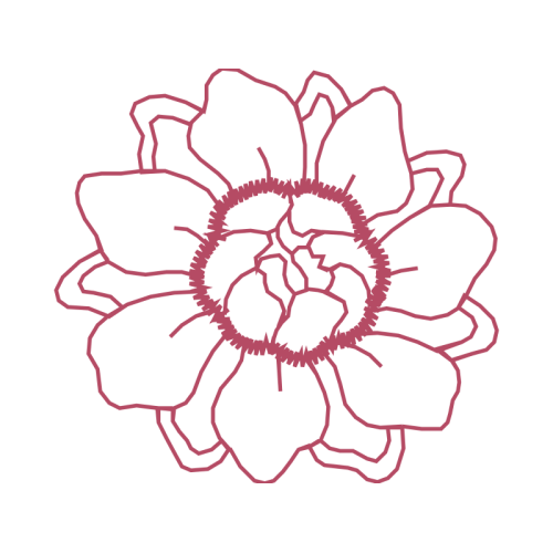 Line Art Animals Line Art Animals