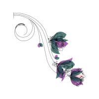 Line Art Animals Line Art Animals