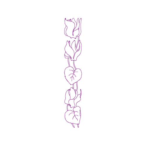 Line Art Animals Line Art Animals