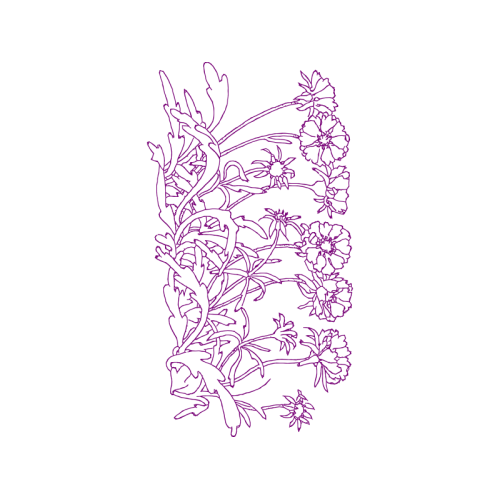 Line Art Animals Line Art Animals