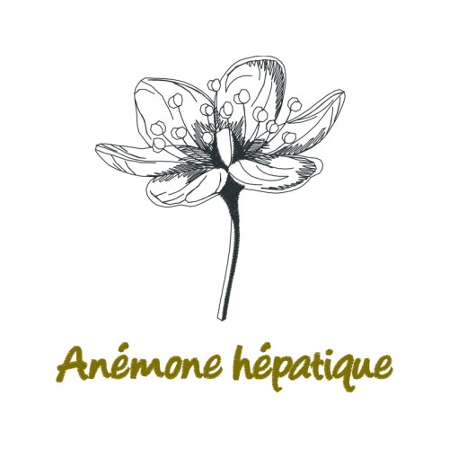 Line Art Animals Line Art Animals