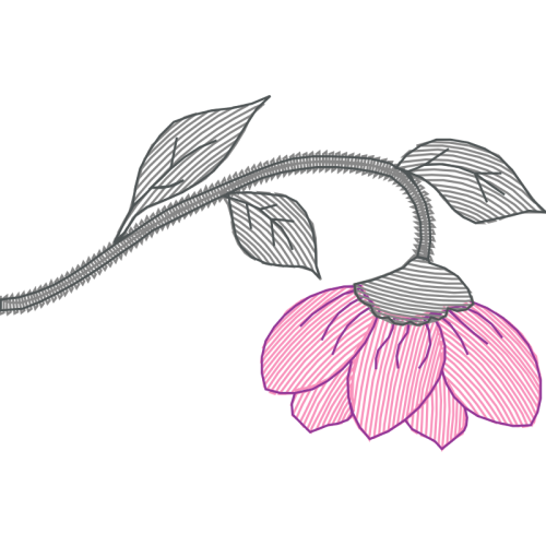 Line Art Animals Line Art Animals