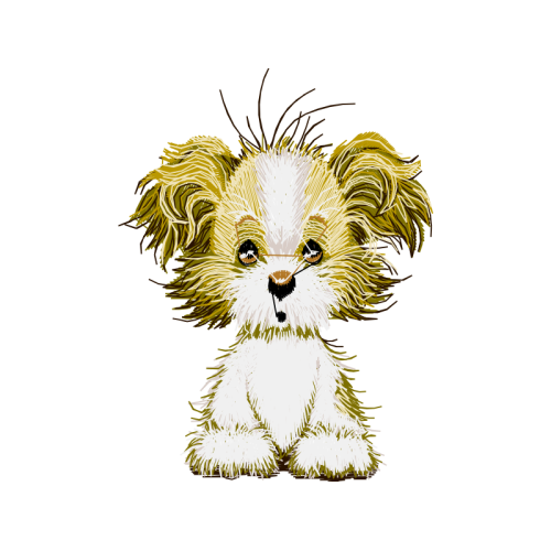 Lion Animals Lion Animals