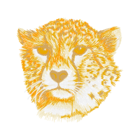 Lion Animals Lion Animals