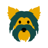 Lion Animals Lion Animals