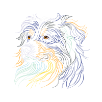 Little Lion Dog Animals