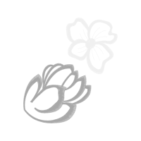 Logo Animals Logo Animals