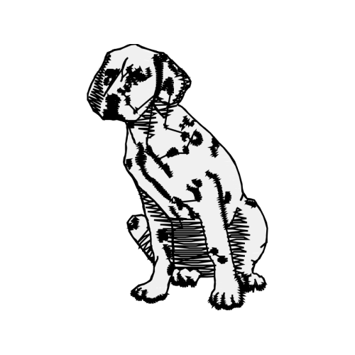 M 02Csf Animals M 02Csf Animals