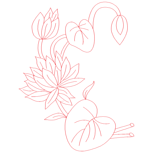 M 02Csf Animals M 02Csf Animals